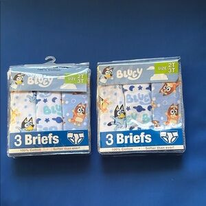 2 Packs Toddler Bluey Briefs - Blue and White Size 2T/3T